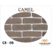 CS 08 - CAMEL