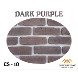 CS 10 -  DARK PURPLE